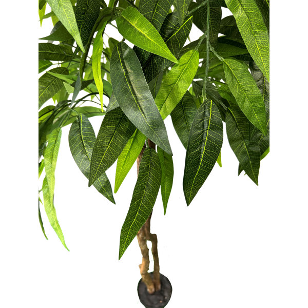 Primrue HandMade Primrue All Seasons 6'' Artificial Mango Tree Wayfair